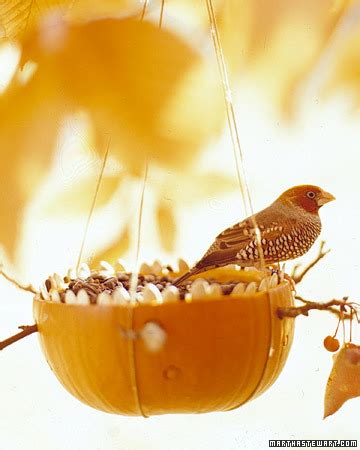 Pumpkin Bird Feeder | Fun Family Crafts