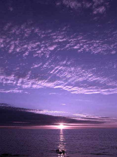 Purple Sunset stock photo. Image of heaven, sunset, shining - 73428