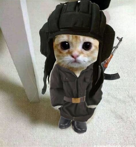 i love this cat Silly Cats Pictures, Cat Pics, Army Cats, Soviet Army ...