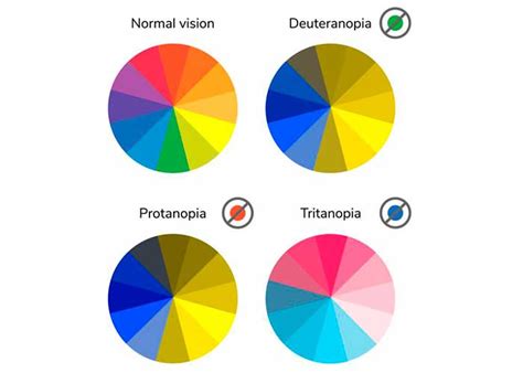 Así ven los colores las personas daltónicas | TN8.tv