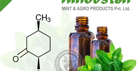 D-iso Menthone Manufacturer Exporter India USA CAS 1196-31-2/491