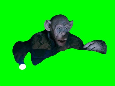 Monkey saying "OH NO!" meme - Bad Ape War for the Planet of the Apes ...