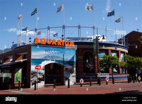 entrance to the two oceans aquarium v&a waterfront cape town south ...