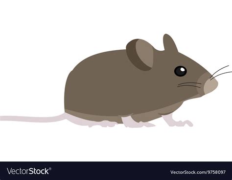 Pet mouse Royalty Free Vector Image - VectorStock