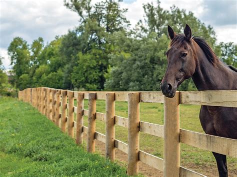 Safe and Functional Horse Fencing | Horse Journals