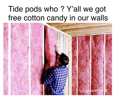 Cotton Candy In The Walls Meme - Meme Walls