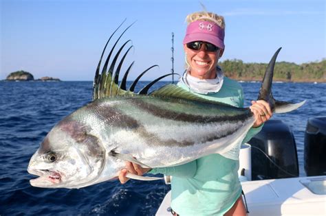 Costa Rica Fishing Species - Roosterfish – Costa Rica Fishing - FECOP