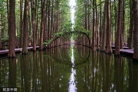 Haoyang Lake, China - BeforeTrek