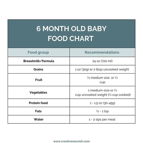 Food And Fluid Chart Template