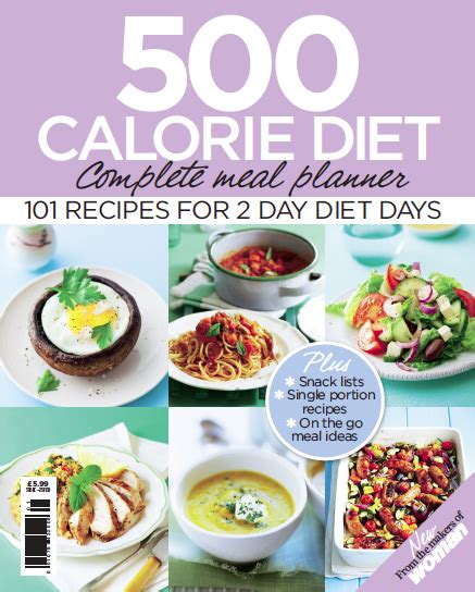 500 Calorie Two Days A Week Diet Recipes - chocolatenews