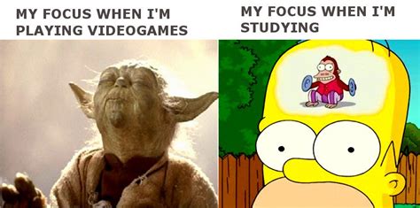 If only i could have that level of concentration for my studies : r/memes