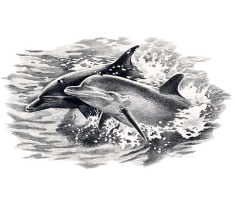 DOLPHINS Wildlife Art Print Signed by Artist DJ by k9artgallery