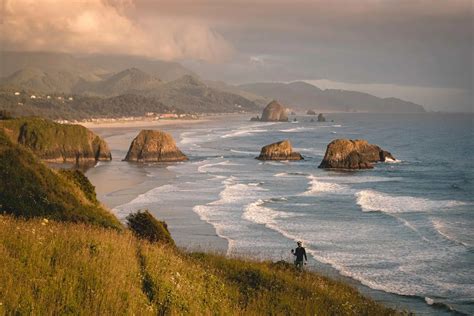 Are Dogs Allowed In Town Lake Pacific City Oregon