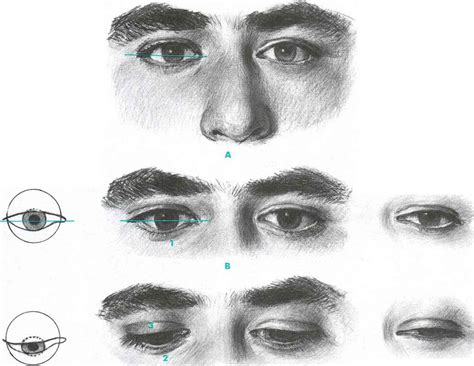 The Downward Gaze Vs The Closing Eye - Facial Expressions