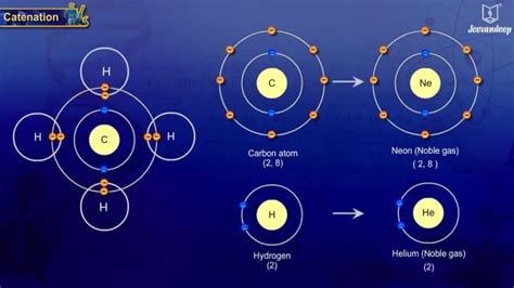 Catenation | Science For Grade 10 | Chemistry - YouTube