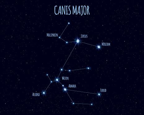 Canis Major Constellation Vector Illustration With The Names Of Basic Stars Stock Illustration ...