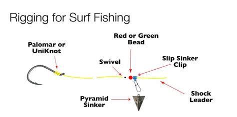 All You Need to Know about Surf Fishing Rigs – Big Game Logic