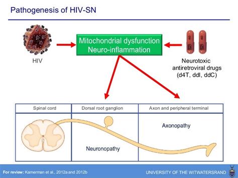 Painful HIV-associated sensory neuropathy