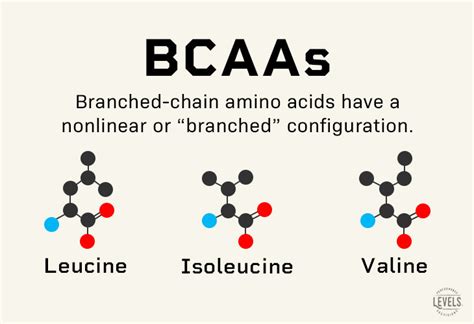 When to Take BCAAs: What Science Says (Plus 5 Fitness and Health ...