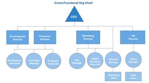 Non-profit Structure Flow Chart