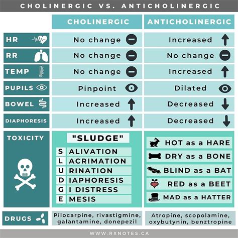 Anticholinergic Drugs: Uses And Side Effects