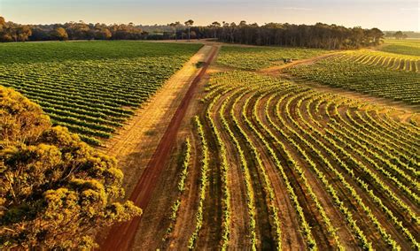 Margaret River Wineries | The Sauciest Wineries In The Region