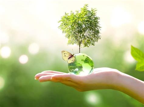 World Environment Day 2021: Theme, ecosystem restoration, pics, and more