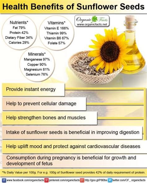 sunflowerseedsinfo.jpg (550×688) | Sunflower seeds benefits, Sunflower ...