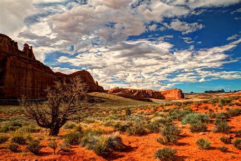 Beautiful Desert Landscape Wallpapers - 4k, HD Beautiful Desert Landscape Backgrounds on ...