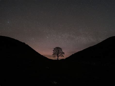 Sycamore Gap tree in the UK, remembered in images - SkyEarth