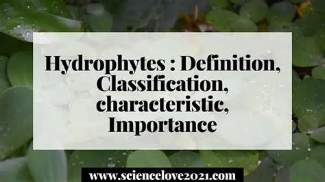 Hydrophytes : Definition, Classification, characteristic, Importance ~ SCIENCE'S World