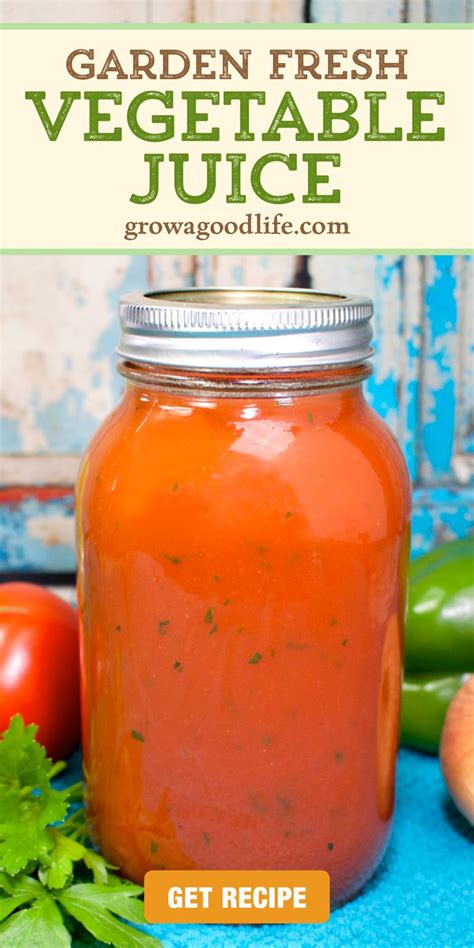 Garden Fresh Vegetable Juice Canning Recipe | Canning tomatoes recipes, Homemade tomato juice ...