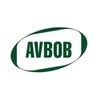 AVBOB Jobs and Careers | Indeed.com