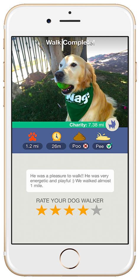 On-Demand Dog Walking App Wag! Launches in Boston