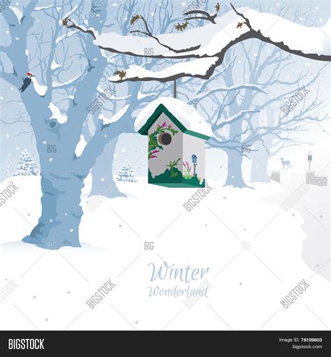 Winter Wonderland - Vector & Photo (Free Trial) | Bigstock