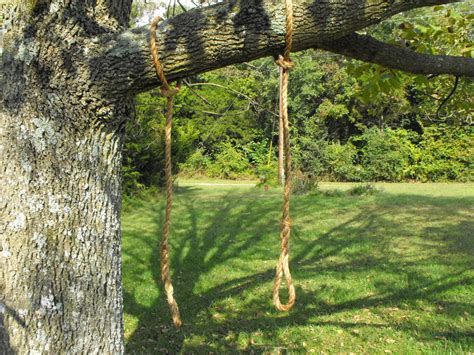 Rope tree swing limb saver hanging rope by Quarrydesigns on Etsy