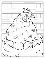 Coloring Chicken Hen Printable Pages Colouring Kids Sheets Saved  sketch template