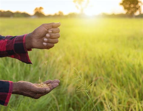 Agricultural conservation easements 101: Permanently protect your ...