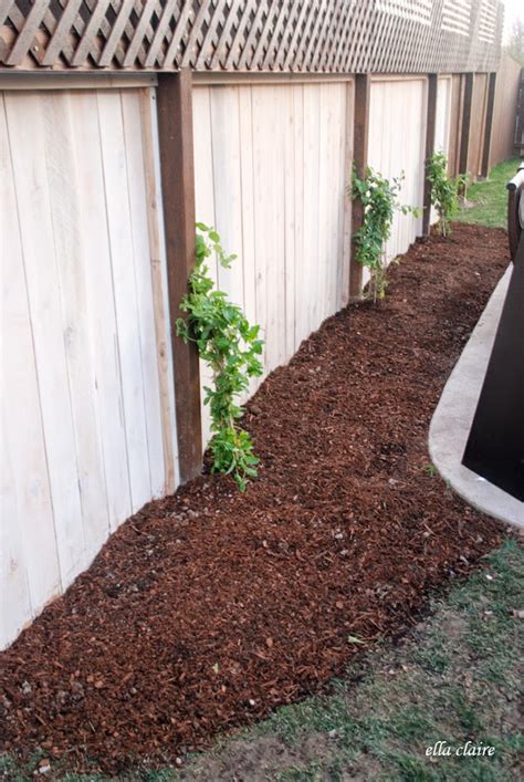 DIY | Customize Your Garden Mulch Color - Ella Claire