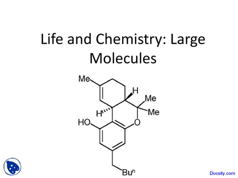 Large Molecules - Introduction to Biology - Lecture Slides - Docsity