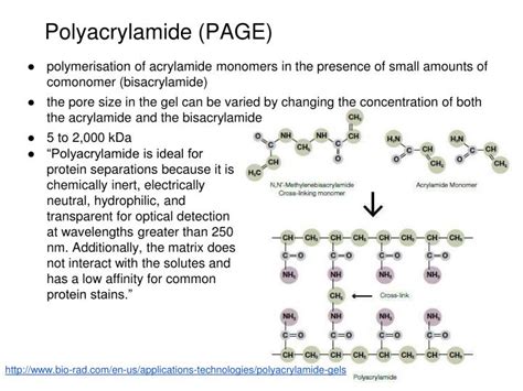 PPT - Gel Electrophoresis PowerPoint Presentation - ID:1602497