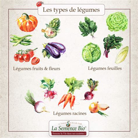 Les types de légumes en biodynamie - La Semence Bio