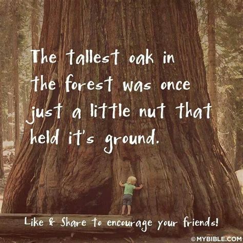 Tallest Oak vs a little nut. | Quotes to Live By | Pinterest | Trees, Agree with and The o'jays