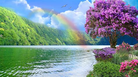 Rainbow Nature Wallpapers - Top Free Rainbow Nature Backgrounds - WallpaperAccess