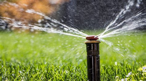 Best motion-activated sprinklers