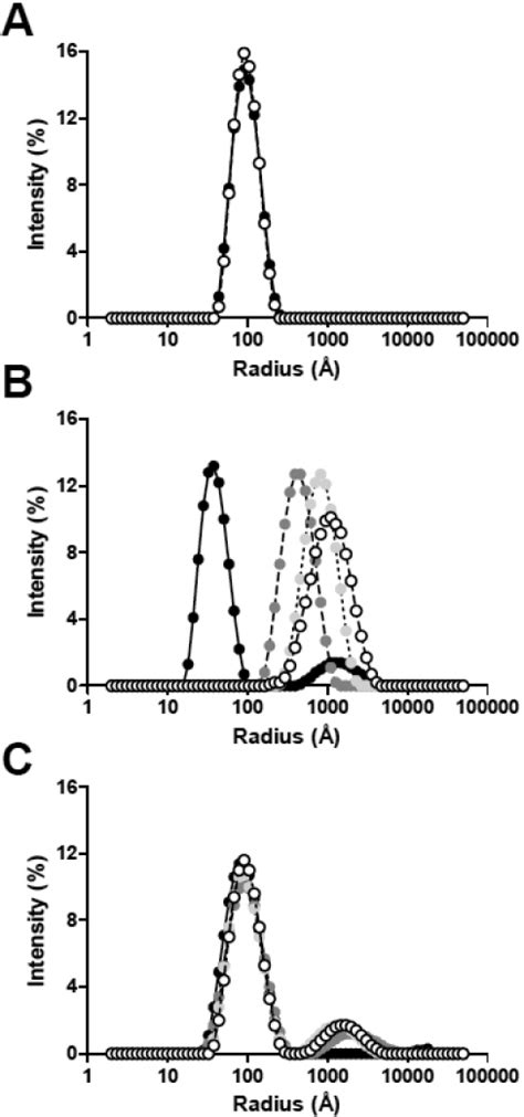 Dynamic light scattering measurements of the changes in the... | Download Scientific Diagram