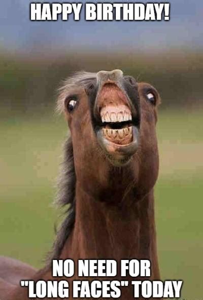 20+ Funny Birthday Wishes for Horse Lovers - Funny Birthday Wishes