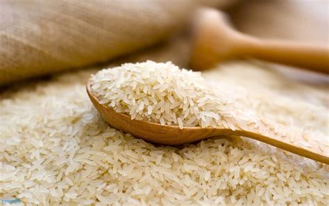 Rice fortification with Iron to address incidences of Anaemia ...