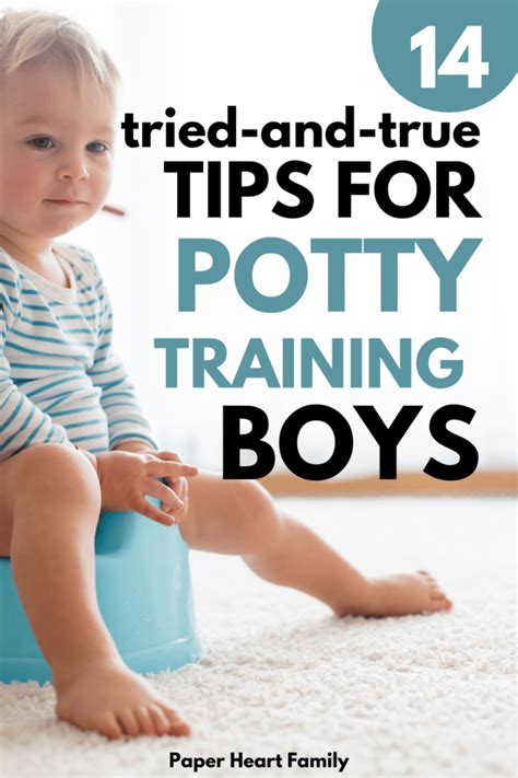 14 Best Tips For Potty Training Boys (Tried And True)