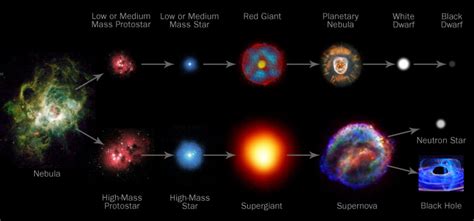 [DIAGRAM] Diagram Of A Low Mass Stars Life - MYDIAGRAM.ONLINE